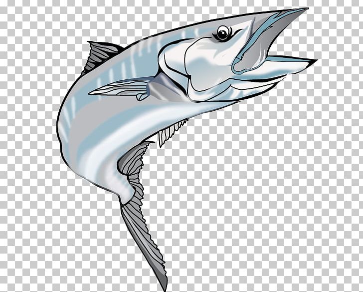 Tiger Shark Wahoo PNG, Clipart, Animals, Animation, Automotive Design, Beak, Cartilaginous Fish Free PNG Download