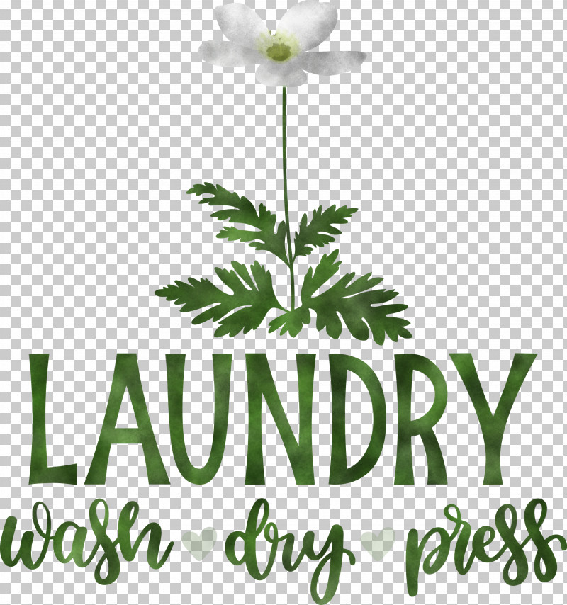 Laundry Wash Dry PNG, Clipart, Cut Flowers, Dry, Floral Design, Flower, Flowerpot Free PNG Download
