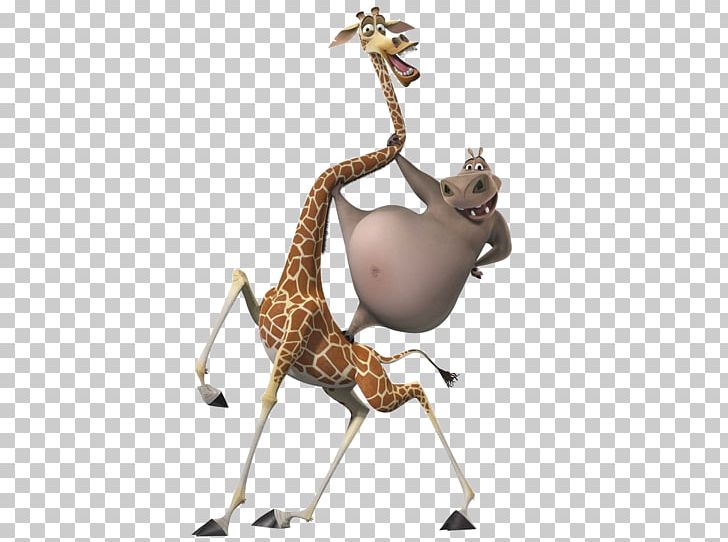 Gloria Melman Madagascar Animation PNG, Clipart, Animal Figure, Antelope, Cartoon, Concept Art, Deer Free PNG Download
