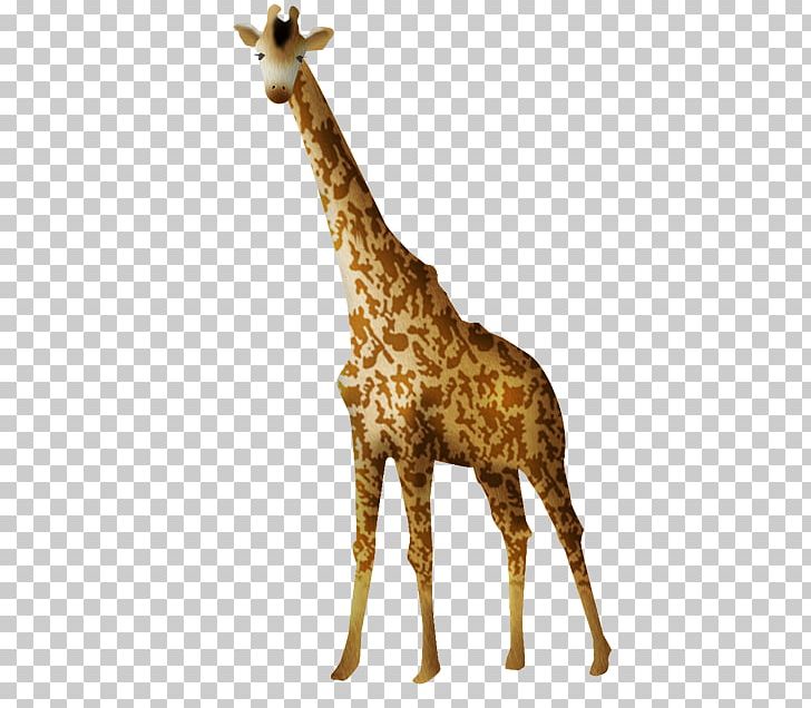 Northern Giraffe Animation PNG, Clipart, Animal Figure, Animation, Blog, Cartoon, Clip Art Free PNG Download