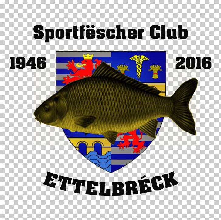 Ettelbruck Bettembourg Sport Fisher Alzette बाल गोत्र PNG, Clipart, Bettembourg, Calendar, Email, Escher, Fauna Free PNG Download