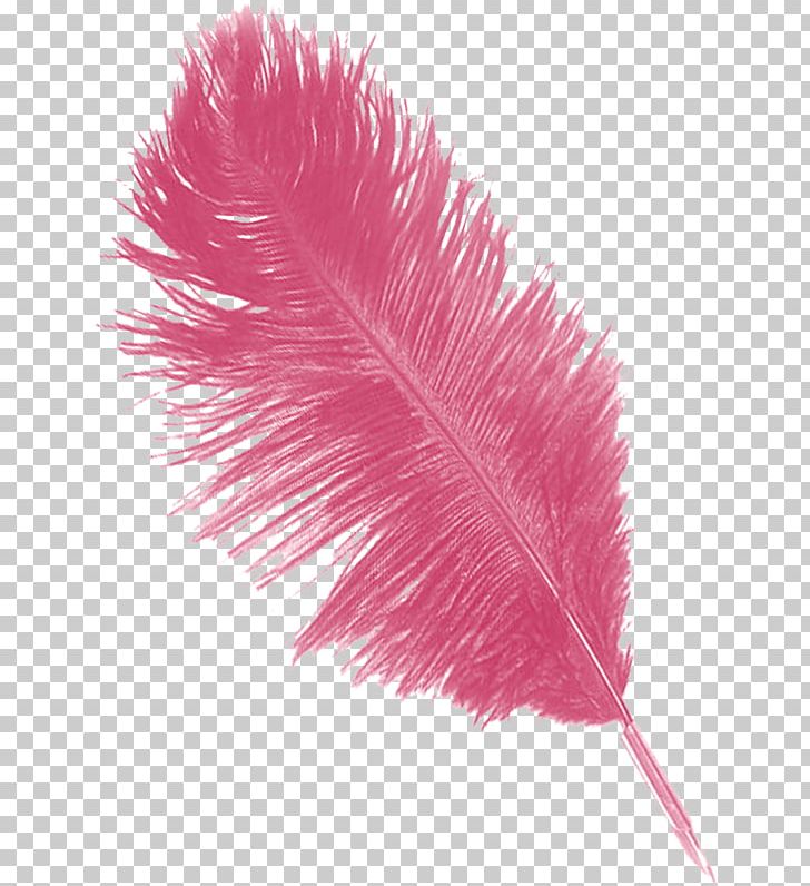 Feather Pens Rose Drawing PNG, Clipart, Animals, Blue, Brush, Drawing, Feather Free PNG Download
