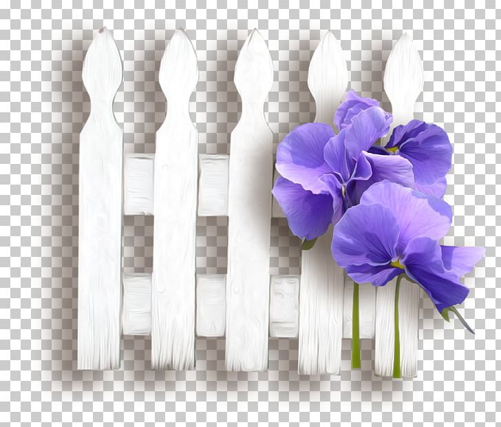 PhotoFiltre PNG, Clipart, Baner, Computer Animation, Computer Network, Cut Flowers, Download Free PNG Download