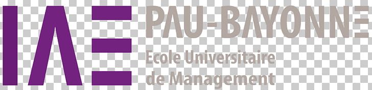 University Of Pau And Pays De L'Adour Institut D'Administration Des Entreprises Bayonne Student PNG, Clipart,  Free PNG Download