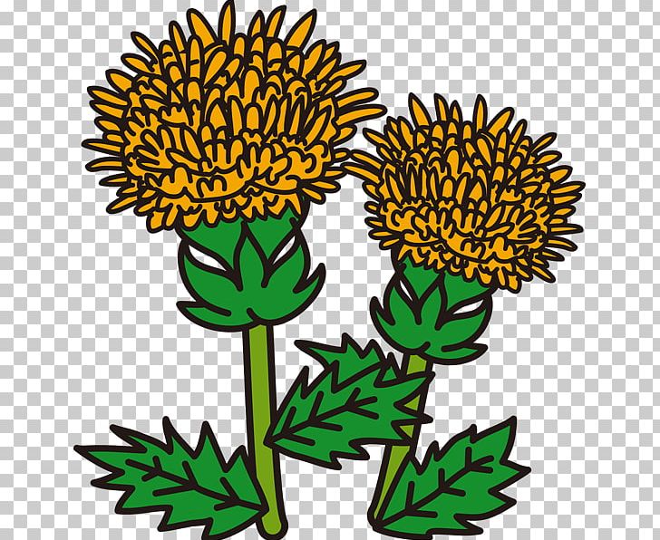 Yellow Cut Flowers PNG, Clipart, Art, Artwork, Chrysanthemum, Chrysanths, Color Free PNG Download