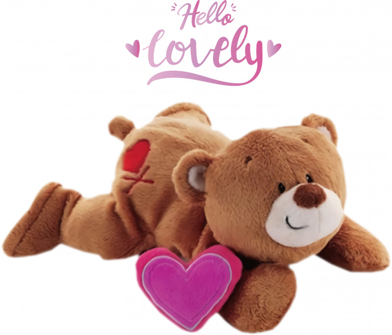 Teddy Bear PNG, Clipart, Bears, Doll, Floral Design, Gift, Greeting Card Free PNG Download