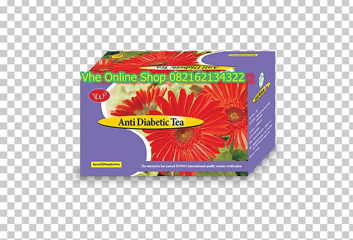 Diabetes Mellitus Pricing Strategies Anti-diabetic Medication Product Marketing PNG, Clipart, Antidiabetic Medication, Catalog, Collagen, Diabetes Mellitus, Es Teh Free PNG Download