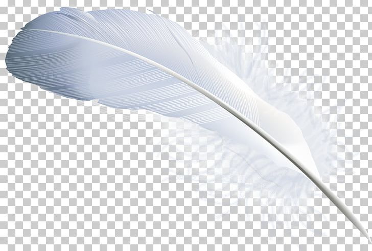 Feather Quill Material Angle PNG, Clipart, Angle, Animals, Feather, Feather Pen, Feathers Free PNG Download