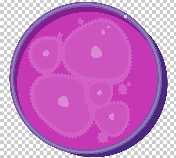 Petri Dishes Stem Cell Petrifilm Petrified Wood PNG, Clipart, Cancer Cell, Cell, Circle, Cord Blood, Cord Blood Bank Free PNG Download