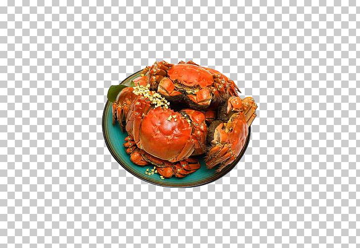 Yangcheng Lake Large Crab Lake Tai Chinese Mitten Crab PNG, Clipart, Animal, Animal Source Foods, Cartoon Crab, Chinese Mitten Crab, Crab Free PNG Download