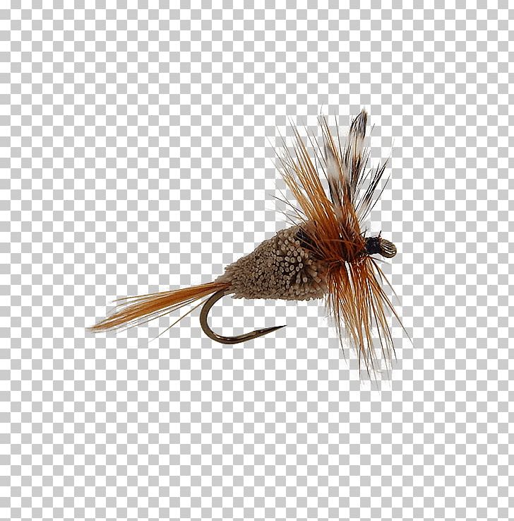 Artificial Fly Pheasant Tail Nymph Quill Gordon Trout PNG, Clipart, Artificial Fly, Dry Fly Fishing, Feather, Fishing, Fishing Bait Free PNG Download