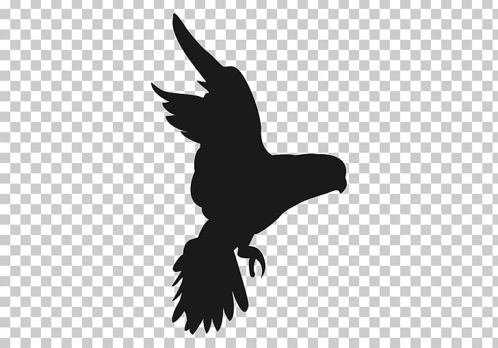 Bird Silhouette PNG, Clipart, Animals, Beak, Bird, Bird Of Prey, Black And White Free PNG Download
