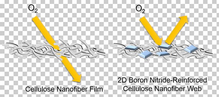 Boron Nitride Nanosheet Nanofiber Cellulose PNG, Clipart, Angle, Animal, Barrier, Body Jewelry, Boron Free PNG Download