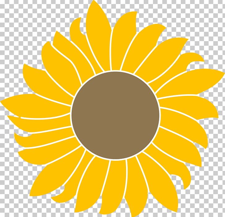 Common Sunflower Scalable Graphics Portable Network Graphics Sunflower Seed PNG, Clipart, Autocad Dxf, Circle, Common Sunflower, Cut Flowers, Daisy Family Free PNG Download