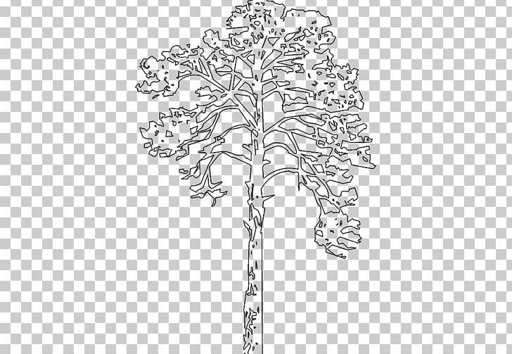 Tree Elevation3D Building Information Modeling Computer-aided Design BIMobject PNG, Clipart, Bimobject, Black And White, Branch, Building Information Modeling, Computer Aided Design Free PNG Download