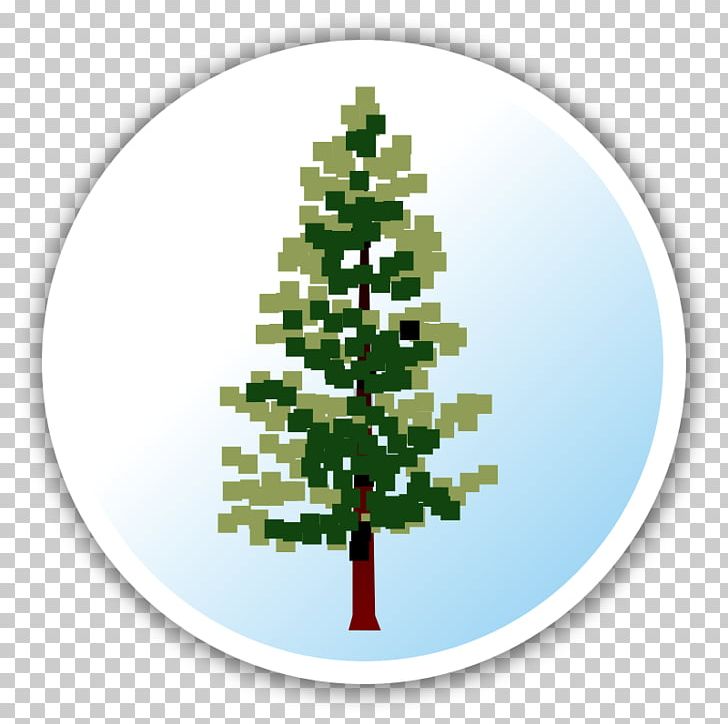 Christmas Tree Spruce Christmas Ornament Fir PNG, Clipart, Christmas, Christmas Decoration, Christmas Ornament, Christmas Tree, Conifer Free PNG Download