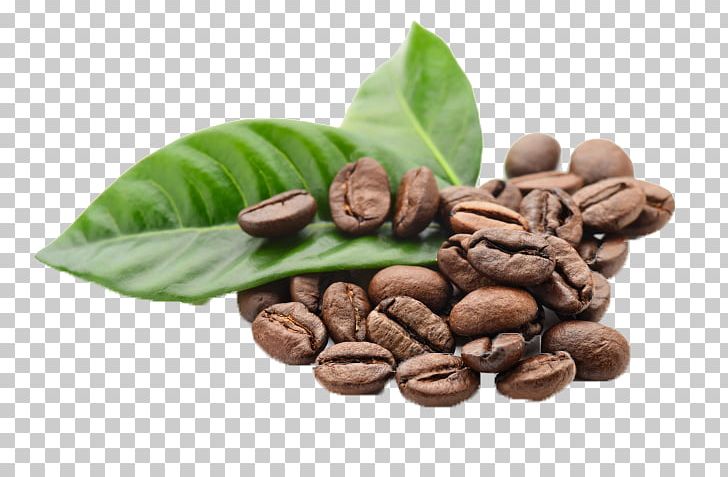Jamaican Blue Mountain Coffee Cafe Single-origin Coffee Instant Coffee PNG, Clipart, Bean, Boost, Cafe, Cocoa Bean, Coffea Free PNG Download