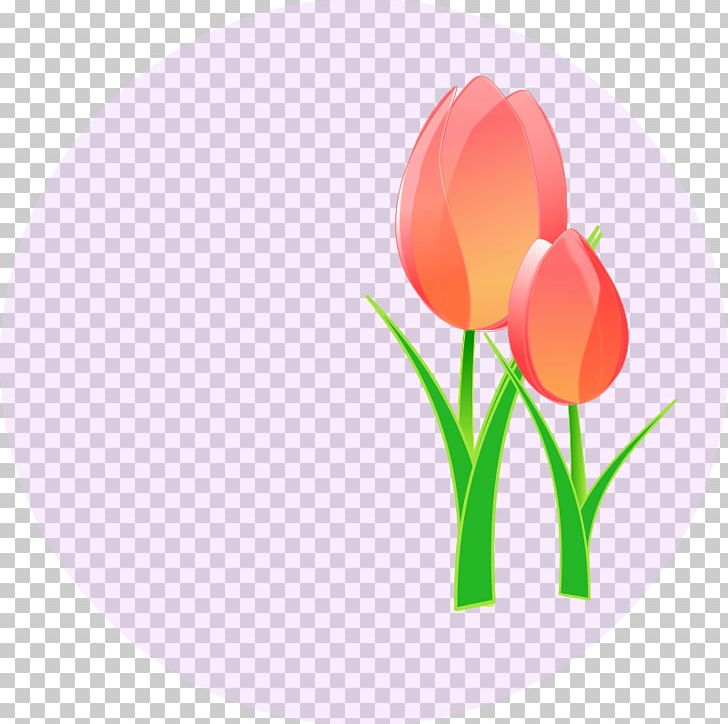 Tulip Mania Open PNG, Clipart, Computer Icons, Computer Wallpaper, Desktop Wallpaper, Download, Drawing Free PNG Download