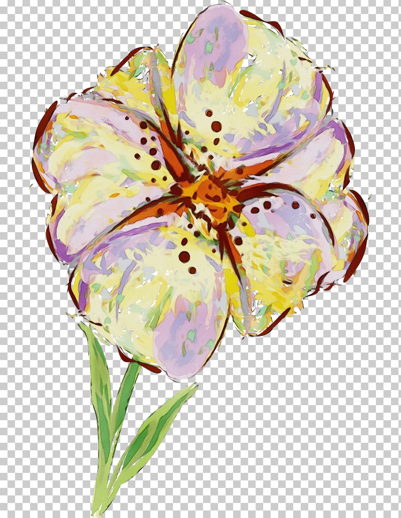 Flower Cut Flowers Watercolor Paint Plant Petal PNG, Clipart, Cut Flowers, Drawing Flower, Floral Drawing, Flower, Iris Free PNG Download
