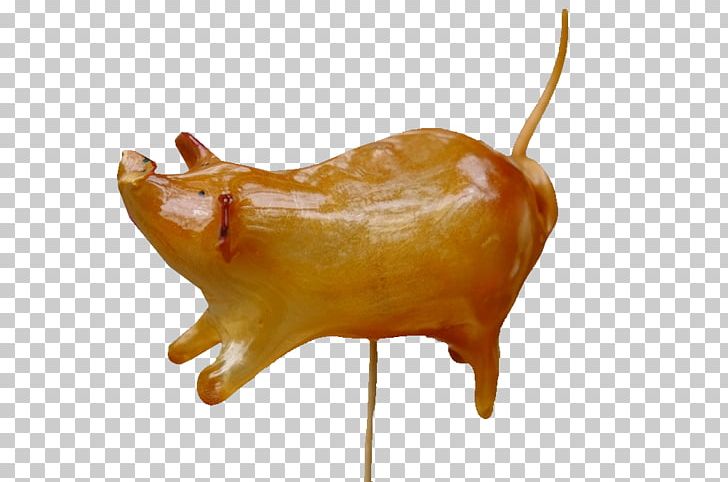 Animal Source Foods Snout PNG, Clipart, Animal Source Foods, Blood Sugar, Brown Sugar, Custom, Folk Free PNG Download