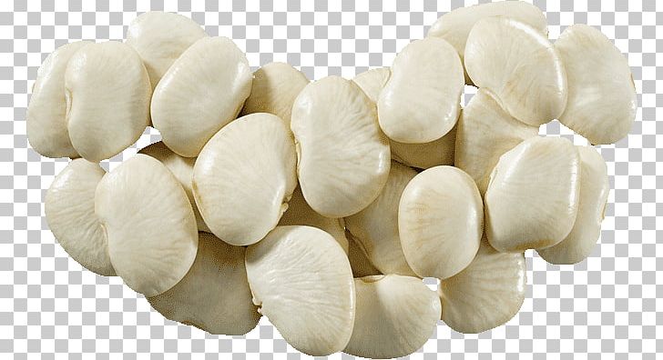 Commodity Lima Bean PNG, Clipart, Commodity, Ingredient, Lima Bean, Nut, Nuts Seeds Free PNG Download