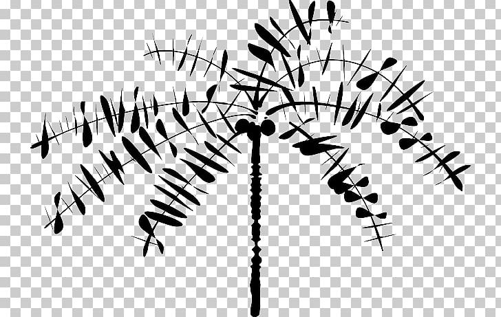 Arecaceae Coconut PNG, Clipart, Angle, Arecaceae, Arecales, Art, Black And White Free PNG Download