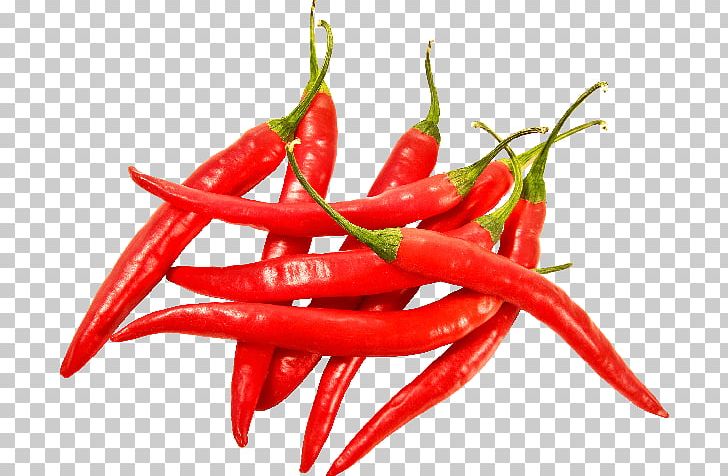 Bell Pepper Chili Pepper PNG, Clipart, Bell Pepper, Chili Pepper, Clip Art, Vegetable Free PNG Download