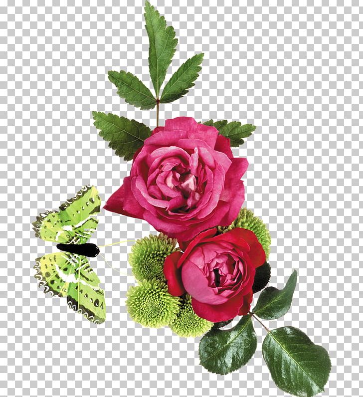 Garden Roses Flower PNG, Clipart, Artificial Flower, Blog, Clip Art, Cut Flowers, Email Free PNG Download