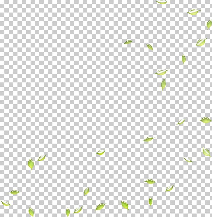 Google S Search Engine Leaf Deciduous PNG, Clipart, Angle, Area, Background, Background Green, Defoliation Free PNG Download