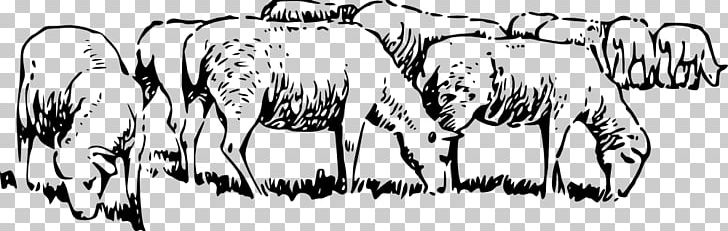 Merino Icelandic Sheep Grazing PNG, Clipart, Artwork, Black, Black And White, Black Sheep, Carnivoran Free PNG Download