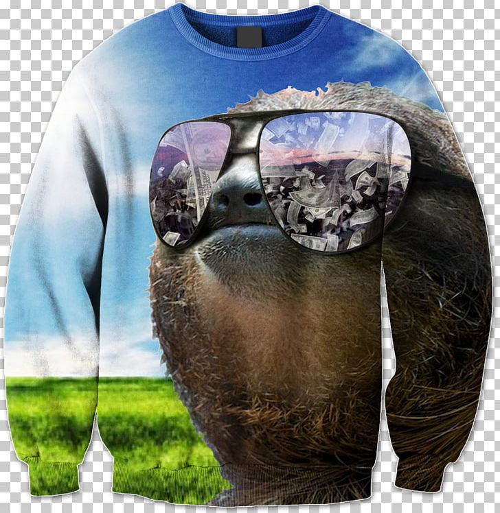 Sloth T-shirt Glass Bluza Mouse Mats PNG, Clipart, Animal, Bluza, Clothing, Cup, Doge Free PNG Download