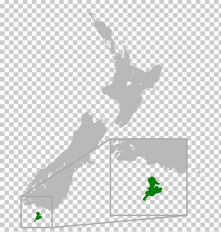 South Island Cyclone Gita Book Takahe I Have A Dream Foundation Of Boulder County PNG, Clipart, Angle, Area, Black And White, Book, Green Free PNG Download