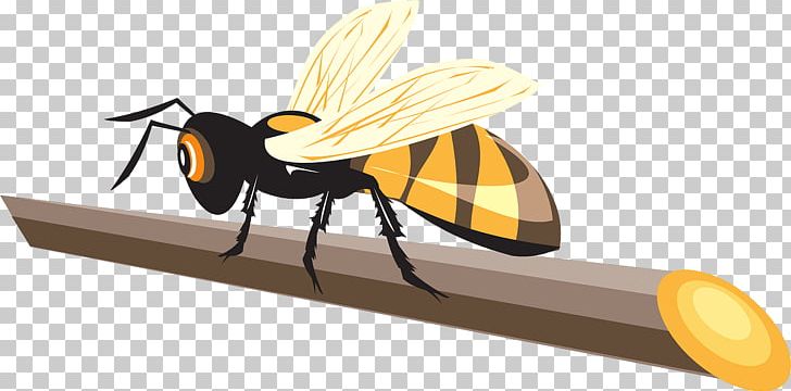 Western Honey Bee Hornet Beetle PNG, Clipart, Arthropod, Bee, Beetle, Entomophagy, Fly Free PNG Download