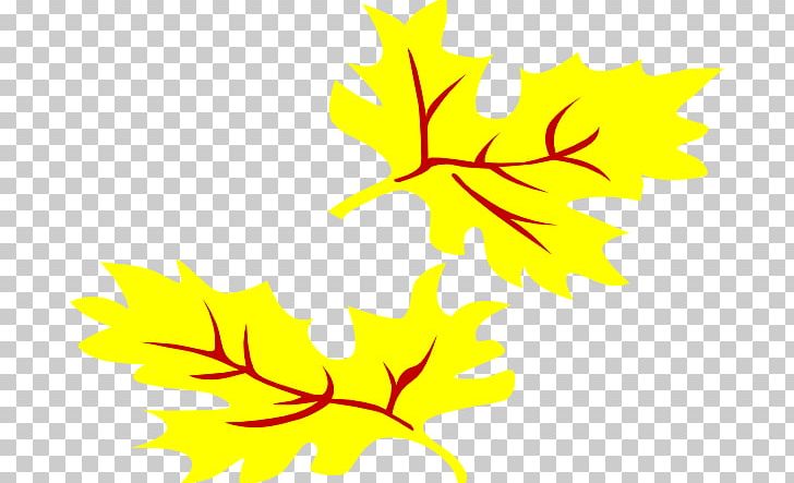 Autumn Leaf Color Yellow PNG, Clipart, Autumn, Autumn Leaf Color, Branch, Color, Flora Free PNG Download