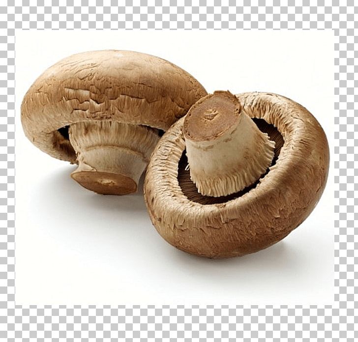 Common Mushroom Edible Mushroom Fungus Oyster Mushroom PNG, Clipart, Agaricaceae, Agaricomycetes, Agaricus, Chaga Mushroom, Champignon Mushroom Free PNG Download