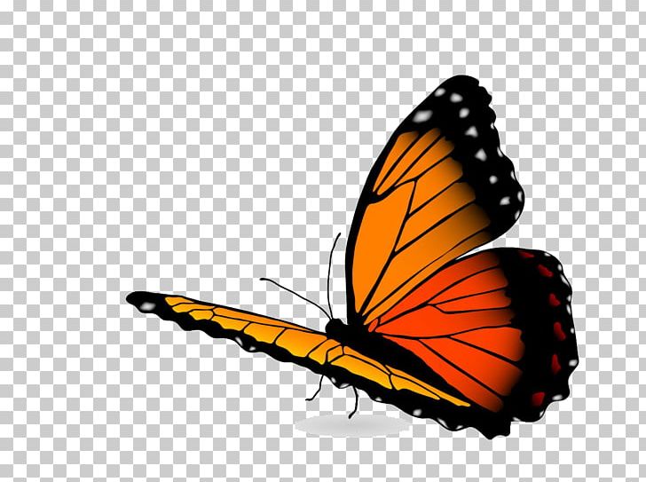 Graphics Stock Photography Illustration PNG, Clipart, Art, Arthropod, Brush Footed Butterfly, Butterfly, Drawing Free PNG Download
