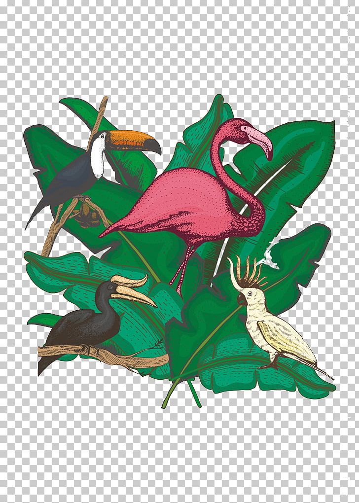 Bird Flamingo Parrot Illustration PNG, Clipart, Animal, Animals, Art, Beak, Fauna Free PNG Download