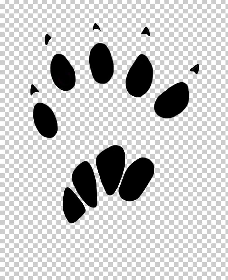 Squirrel Paw Dog Animal Track PNG, Clipart, Animal, Animals, Animal Track, Black, Black And White Free PNG Download