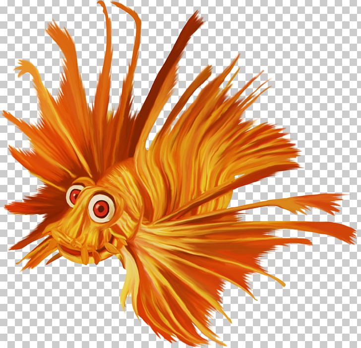 Fish Animal PNG, Clipart, Animal, Animals, Deep Sea Creature, Encapsulated Postscript, Fisch Free PNG Download