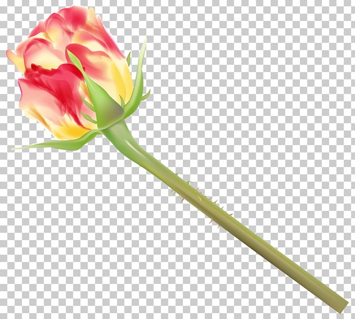 Rose PNG, Clipart, Art, Bud, Cut Flowers, Flower, Flowering Plant Free PNG Download