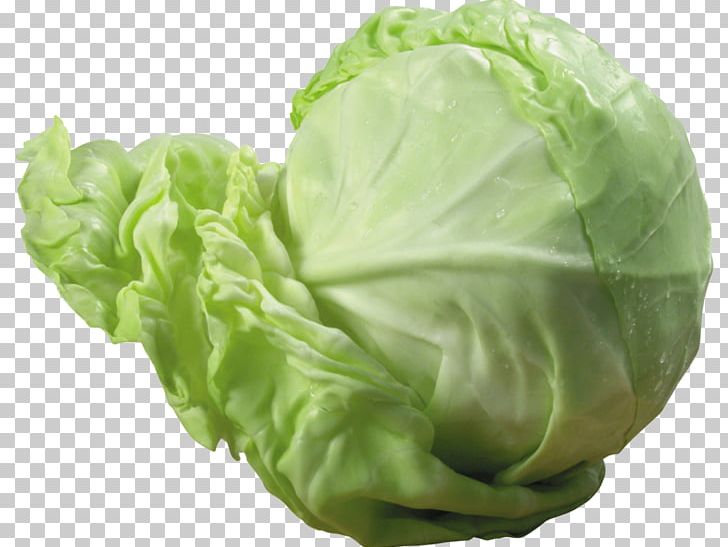 Savoy Cabbage Vegetable Red Cabbage PNG, Clipart, Brassica Oleracea, Cabbage, Cauliflower, Collard Greens, Cruciferous Vegetables Free PNG Download