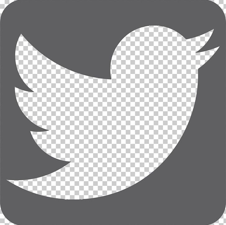 Social Media Blog Durango Blues Train Computer Icons Twitter PNG, Clipart, Apk, Bird, Black And White, Blog, Brand Free PNG Download