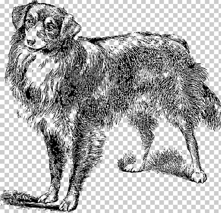 Dog Breed Dobermann Puppy Pekingese Rough Collie PNG, Clipart, Animals, Black And White, Canidae, Carnivoran, Cat Free PNG Download