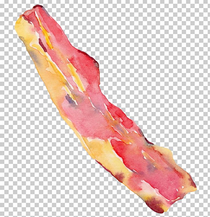 Hot Dog Bacon PNG, Clipart, Adobe Illustrator, Bacon, Coreldraw, Dog, Dogs Free PNG Download