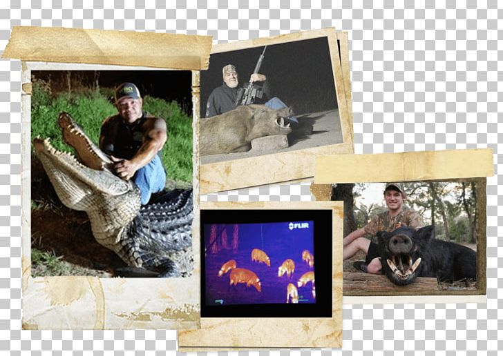 Deer Hunting Central Florida Three Lakes Boar Hunting PNG, Clipart, Airboat, Boar Hunting, Bow And Arrow, Bowhunting, Central Florida Free PNG Download