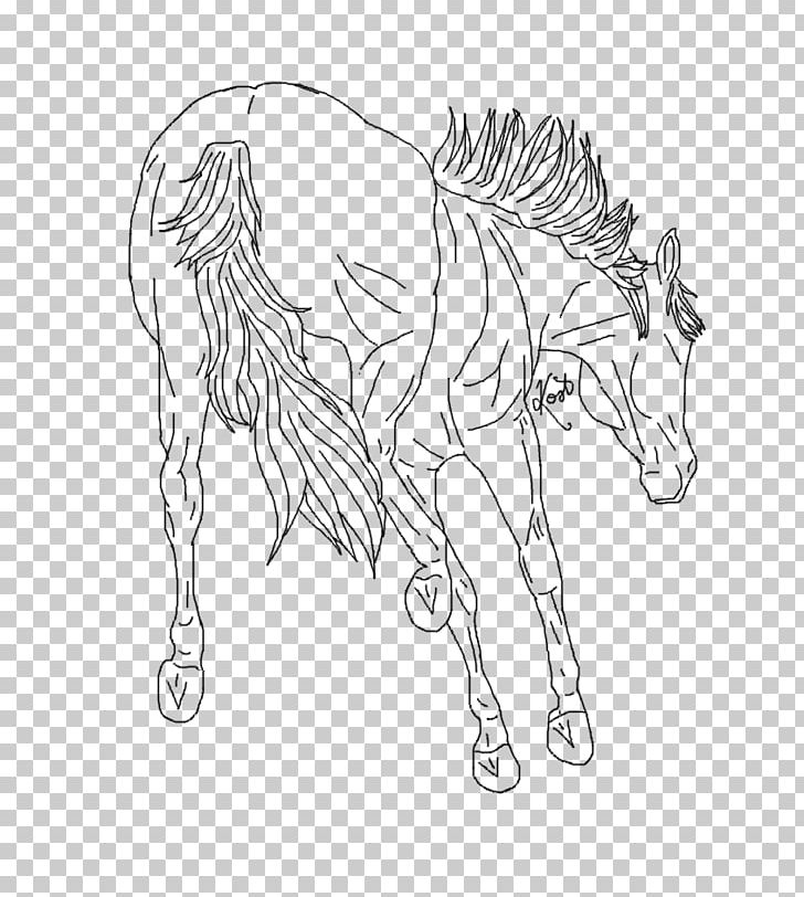 How To Draw A Mustang Horse Images How To Draw A Mustang Horse Transparent  PNG Free download