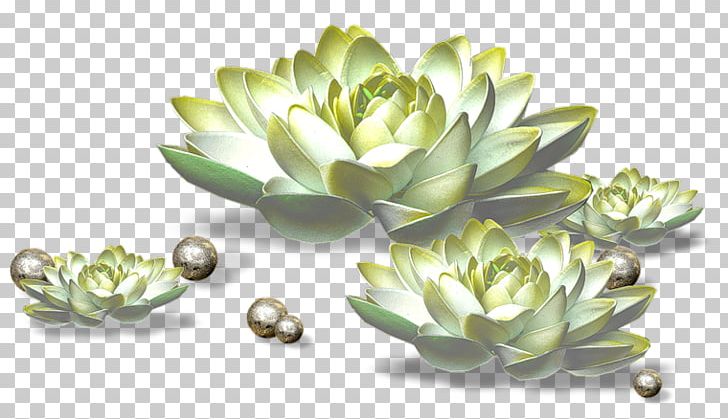 Photography PNG, Clipart, Abstract Lines, Art, Creative, Creative Flowers, Curved Lines Free PNG Download
