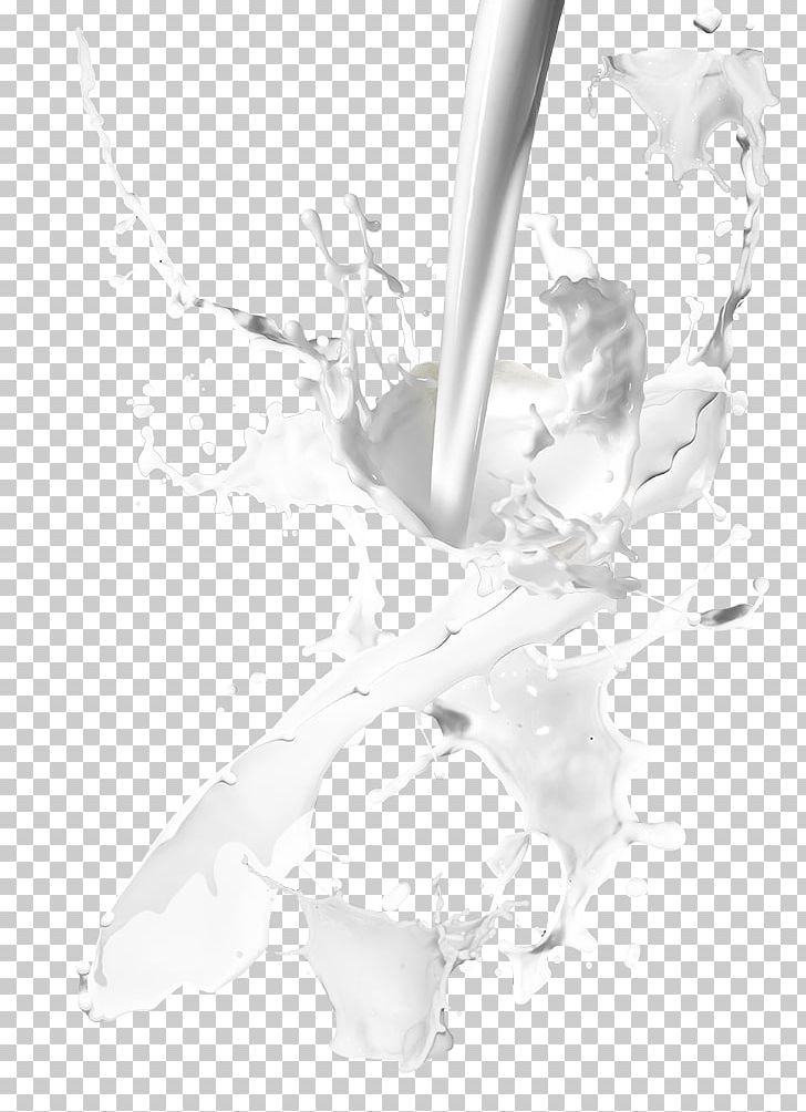 Splash Computer File PNG, Clipart, Angle, Black And White, Coconut Milk, Decoration, Download Free PNG Download