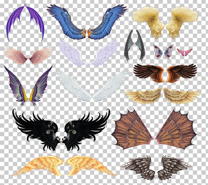 The Explorer's Guide To Drawing Fantasy Creatures PNG, Clipart, Animals, Beak, Claw, Computer Software, Download Free PNG Download