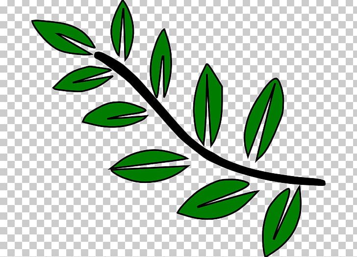 Branch Tree Drawing PNG, Clipart, Artwork, Black And White, Branch, Download, Drawing Free PNG Download